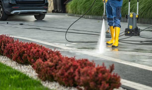 Best Solar Panel Cleaning  in Magnolia, MS